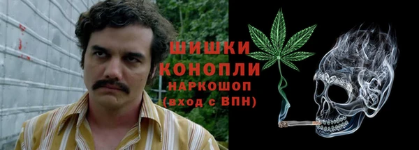a pvp Аркадак