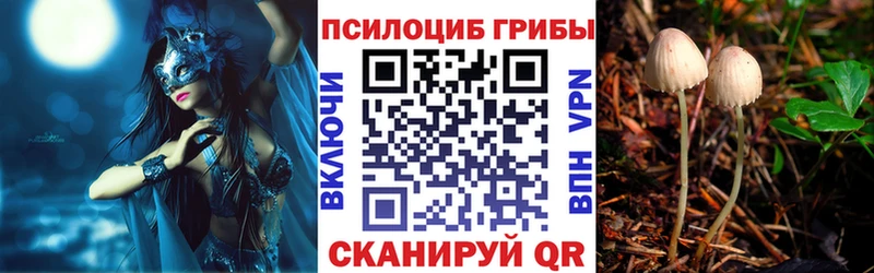Псилоцибиновые грибы мицелий  Лянтор 